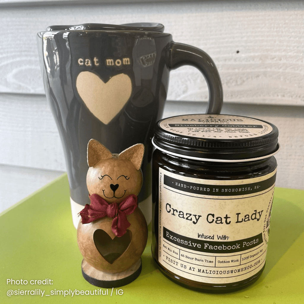 Crazy Cat Lady 9oz Funny Candle Malicious Women Co